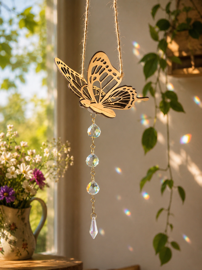 Papillon attrape-Lumière